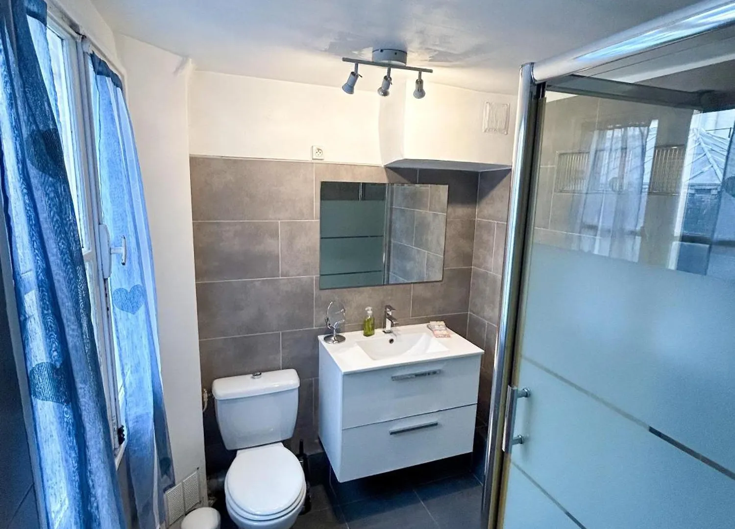 Spacious Apartment In Montparnasse Paris